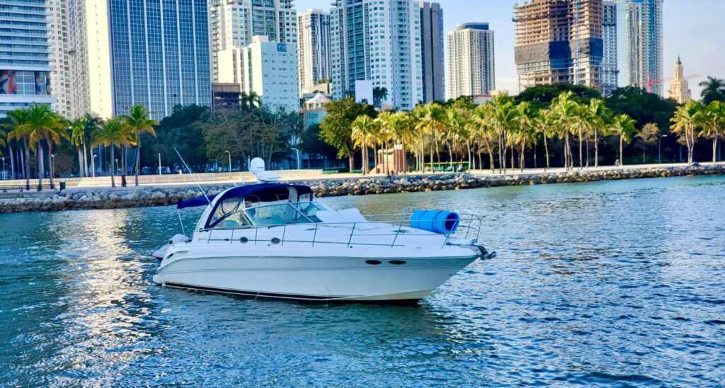 43 searay luxury sobe boat tour